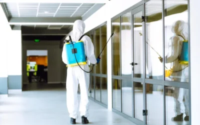 O que é Dedetização e Quando Contratar