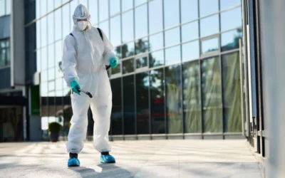 A Importância da Higiene na Prevenção de Pragas