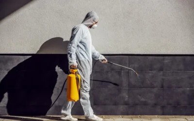 Profissional de dedetização trabalhando